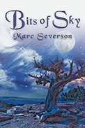 Book Reviews - US Review of Books